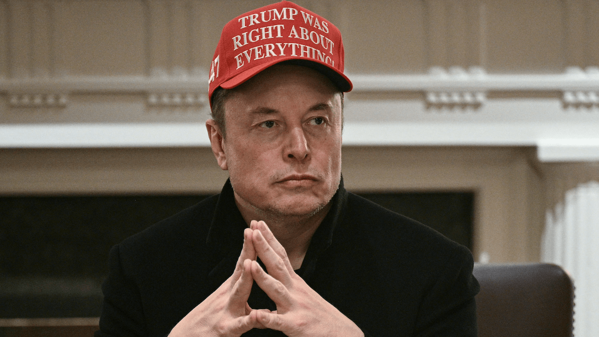 Elon Musk wears a Make America Great Again hat. (Credit: Getty Images)