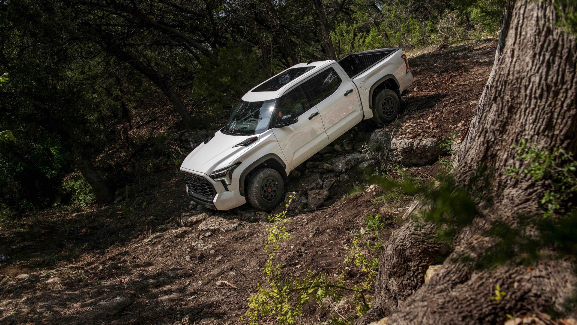 Dynamic front 3/4 shot of a white 2025 Toyota Tundra TRD Pro off-roading in a forest.