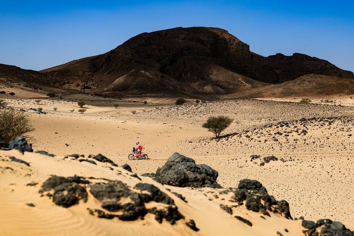 #76 HT Rally Raid Honda: Robert Przybylowski