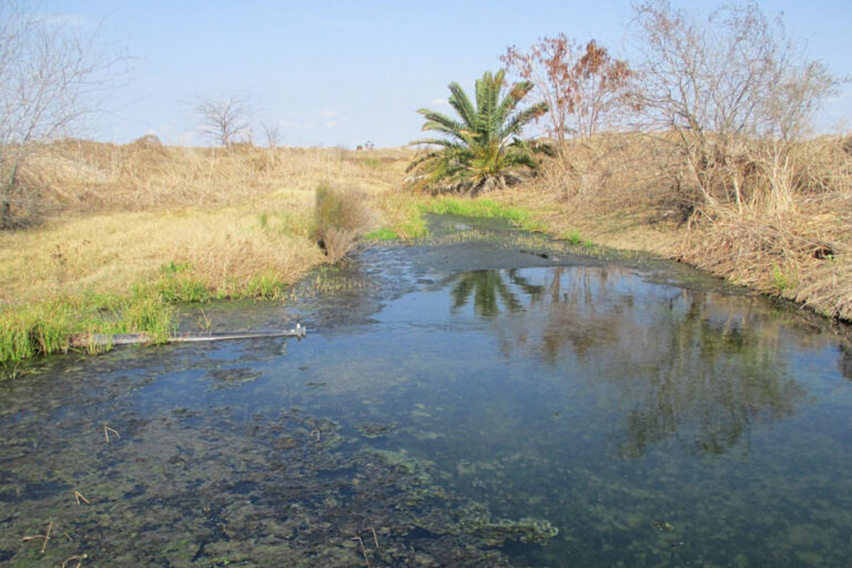 Independent Testing Where Tesla’s Lithium Refinery Discharges Wastewater Found Toxic Metals